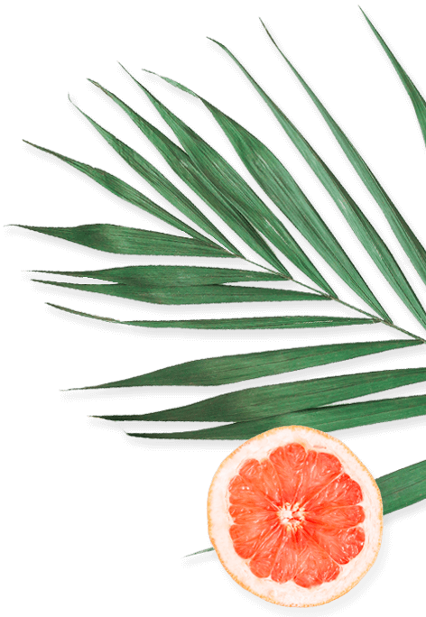 Banner-3-Leaf