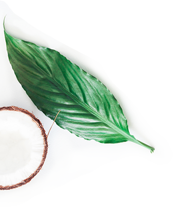 Coconut-and-leaf