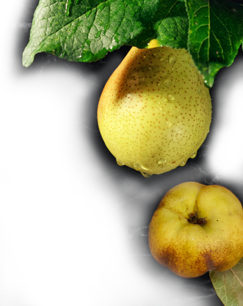 Fruit-Sweetness-Right-Img