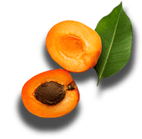 Left-Apricots