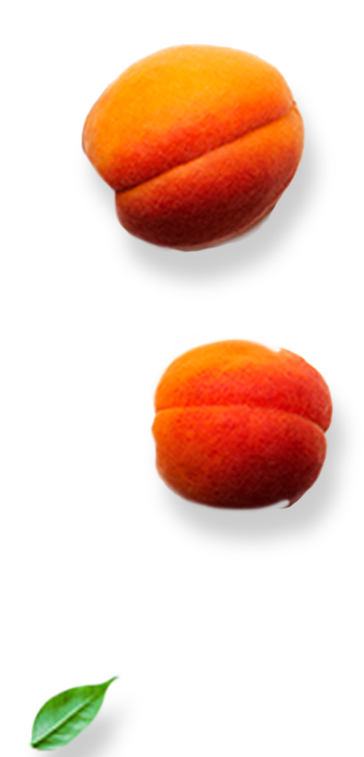 Right-Apricots