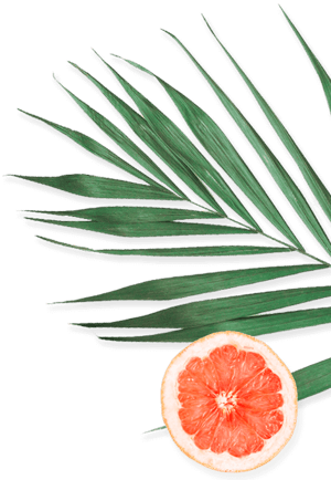 Banner-3-Leaf