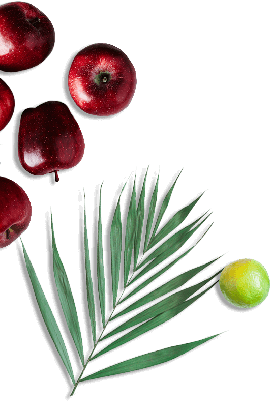 Banner-1-updated_Master