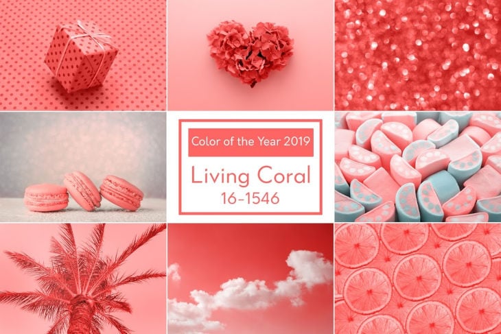 Pantone Living Coral