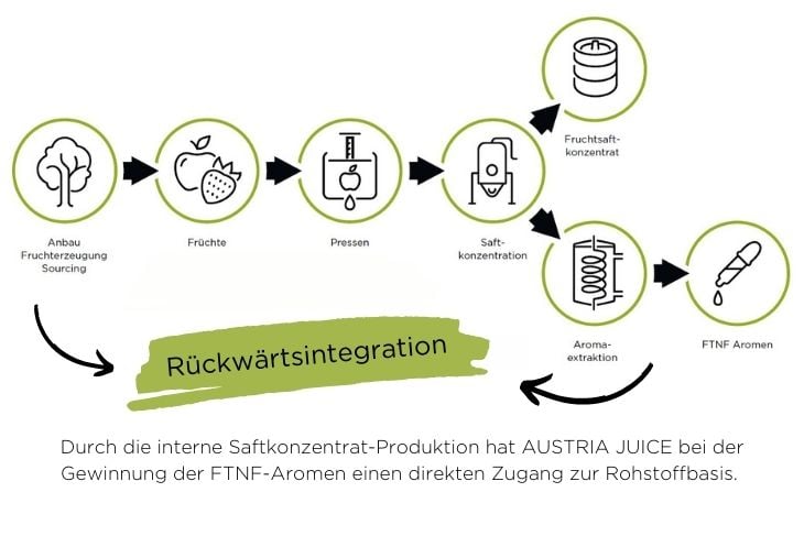 Rückwärtsintegration