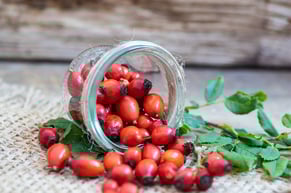 Rose hip