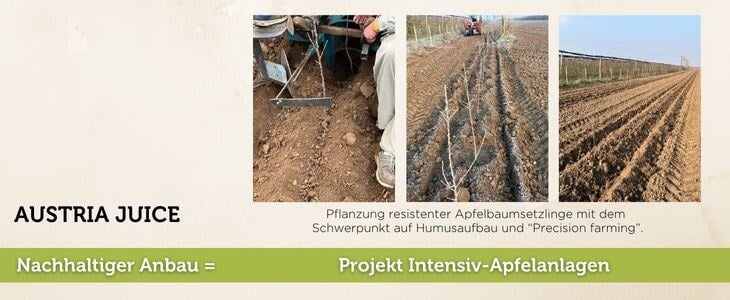 SUST Blogartikel_DE