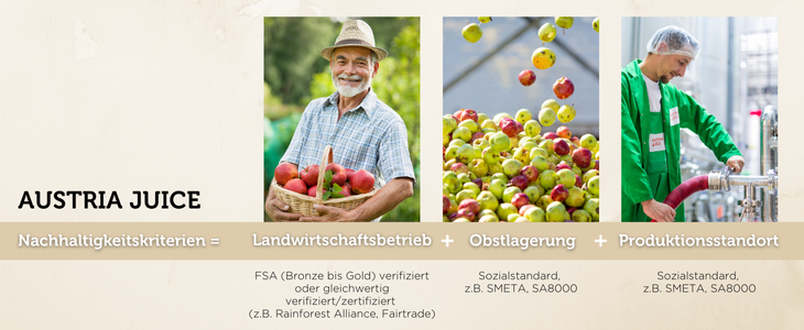 SUST Kriterien & FSA Grafik für Blogartikel_DE & EN (1)