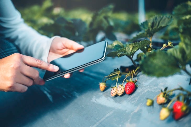 Smart Farming