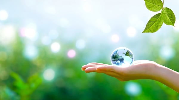 Sustainability-1