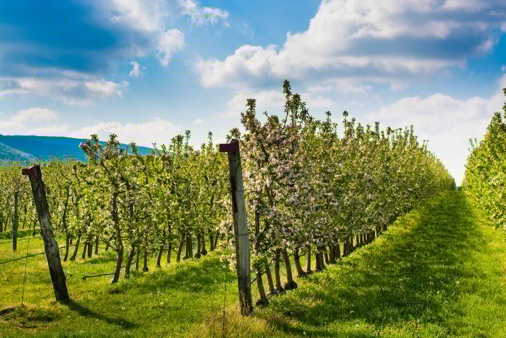 Sustainable agriculture