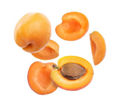 apricot_header_website images (2)