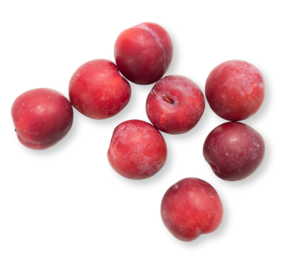 plum