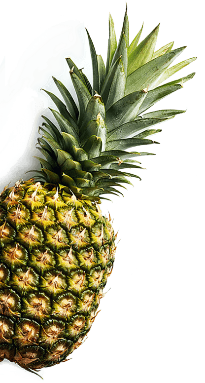 pinepleImage