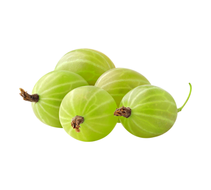 gooseberry_website images