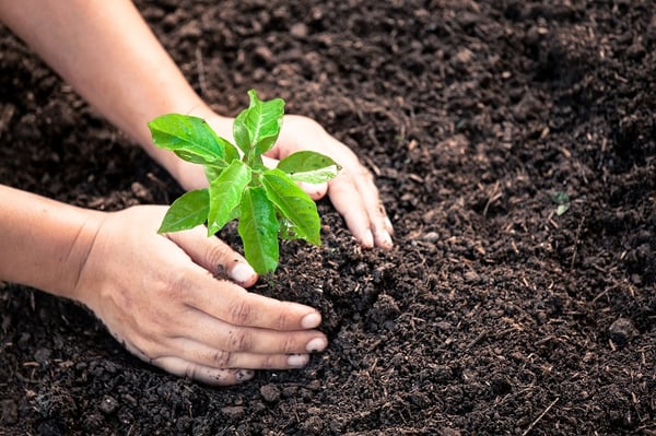 what will change with the new EU organic regulation